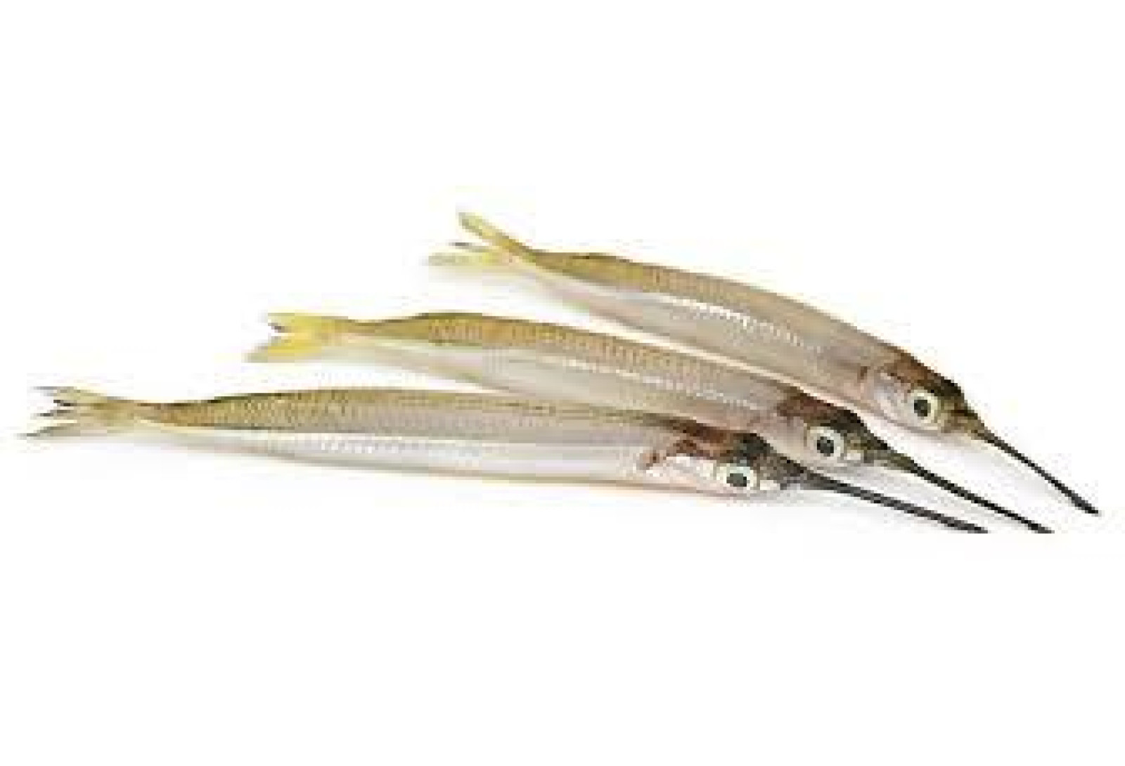Cleaned Needle Fish / Soochi Malsyam - 400gm